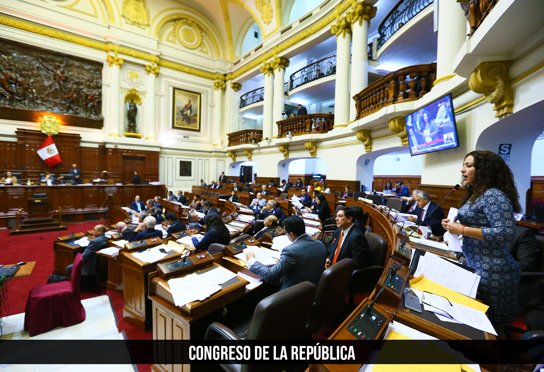 Congreso de la republica