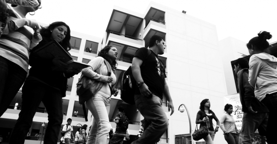 Patria Roja arrincona a Sendero