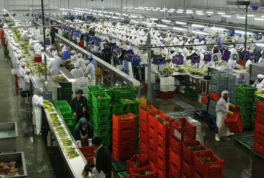 Agroexportación y Obras por Impuestos