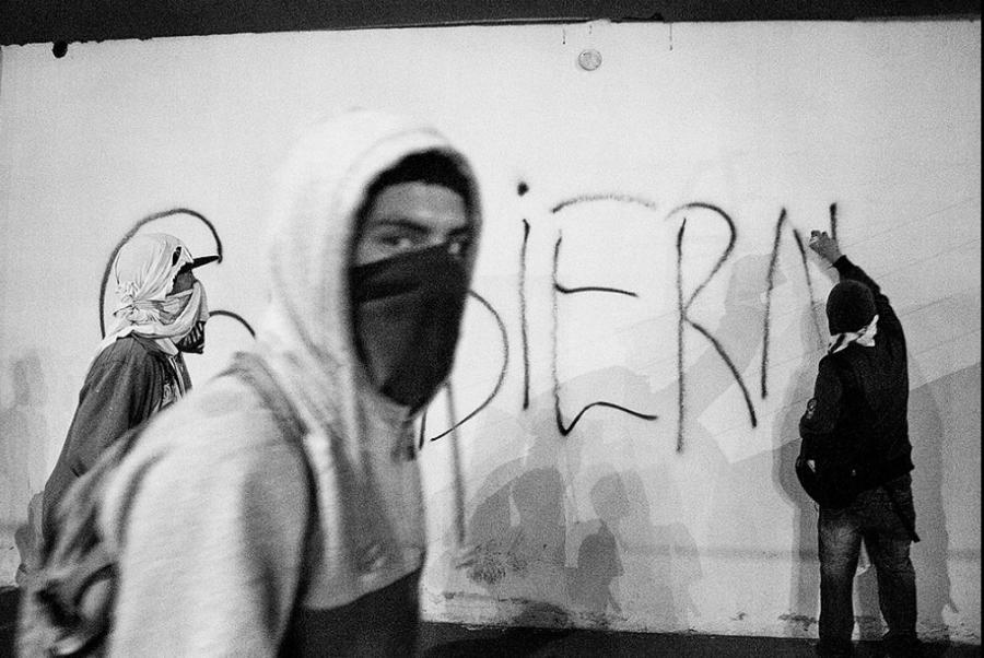 El gru&ntilde;ido de un zorro