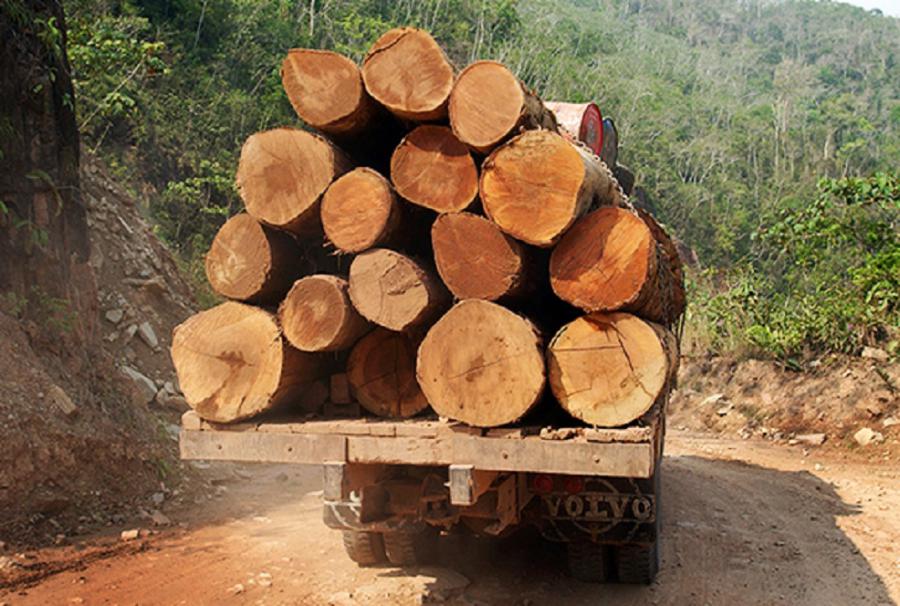 Gran conflicto amenaza a la Amazonía