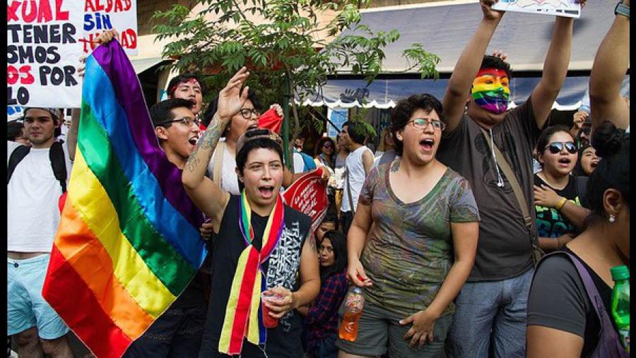 La teor&iacute;a de g&eacute;nero en el curr&iacute;culo es inconstitucional