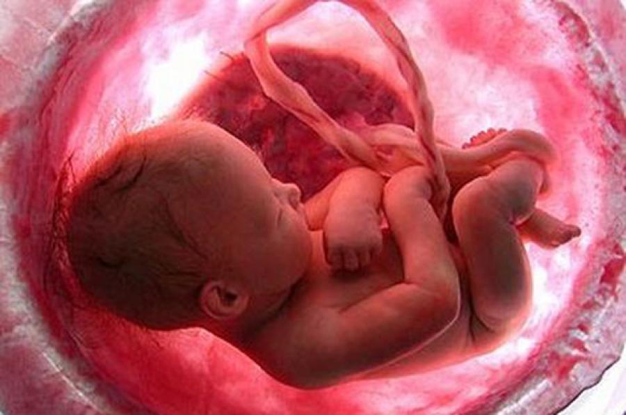 &iexcl;No son creencias, es vida!