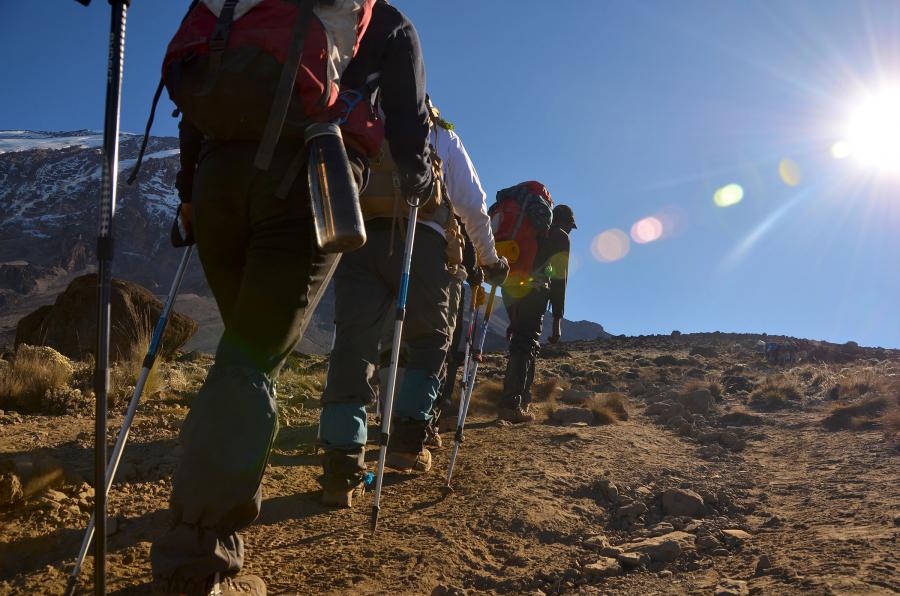 No hay modelo. Se hace modelo al andar