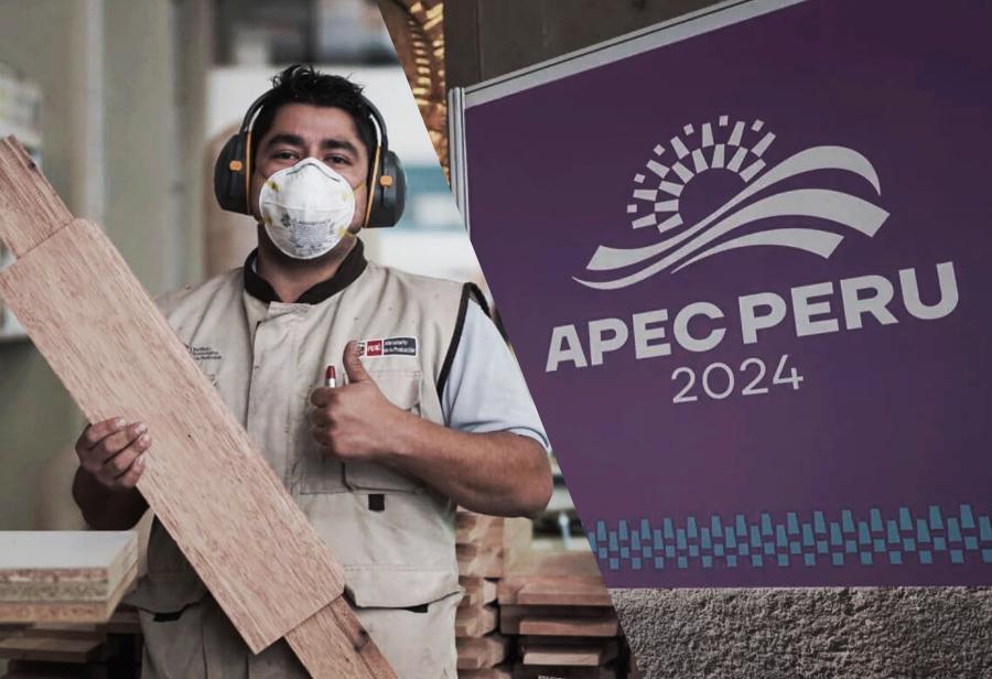 APEC: ¡97% son mypes!