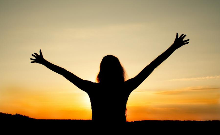 La l&oacute;gica de la riqueza