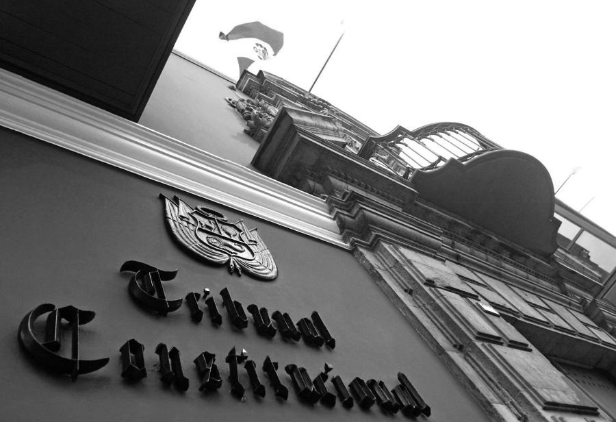 El cabe del Tribunal Constitucional