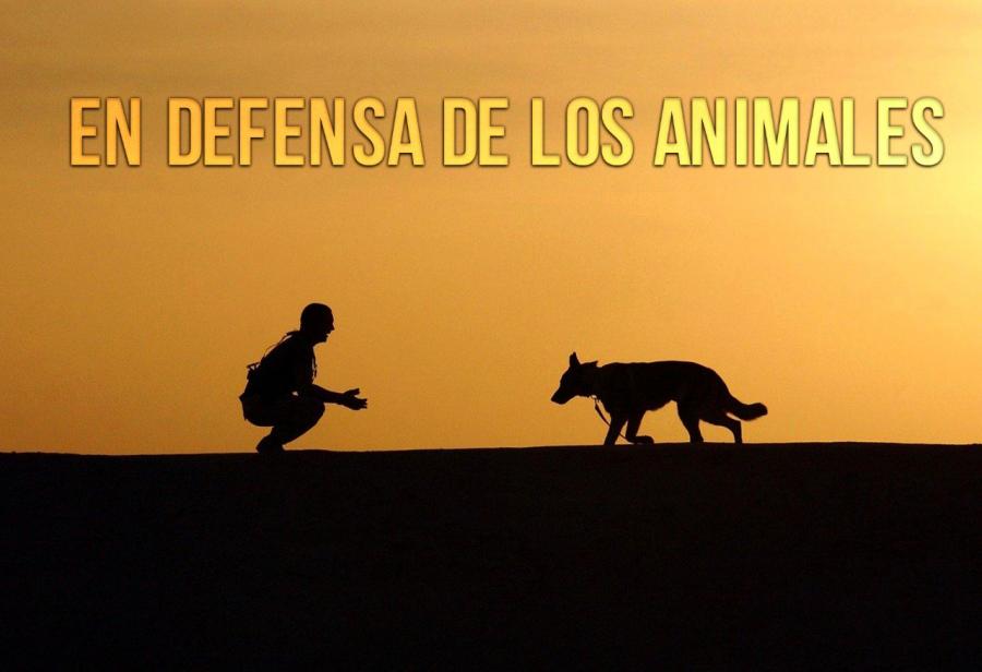 En defensa de los animales