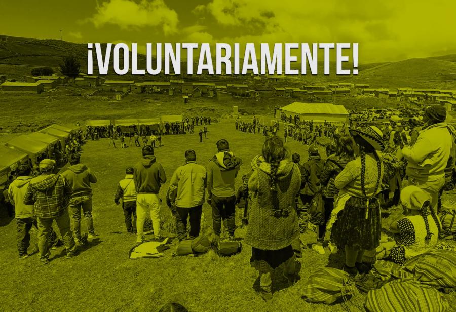 ¡Voluntariamente!