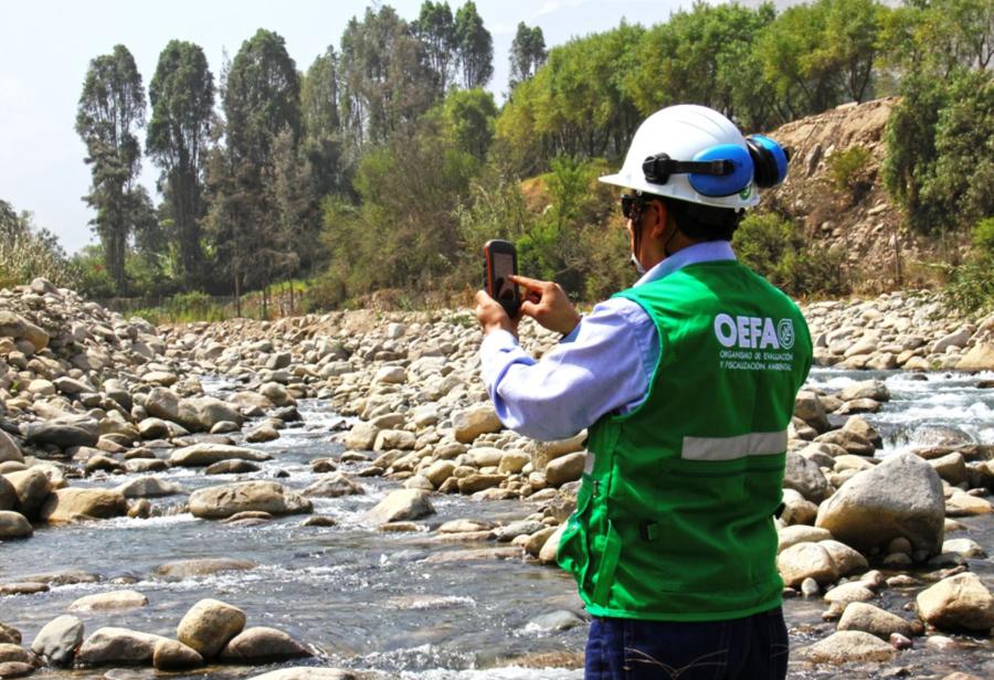 Avatares de la política y gestión ambiental