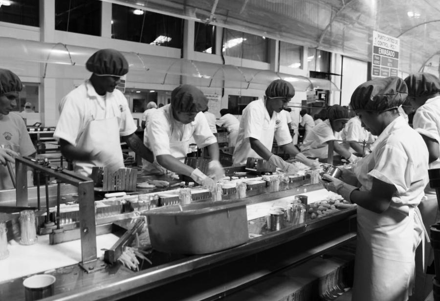 El necesario debate en torno al r&eacute;gimen especial del agro