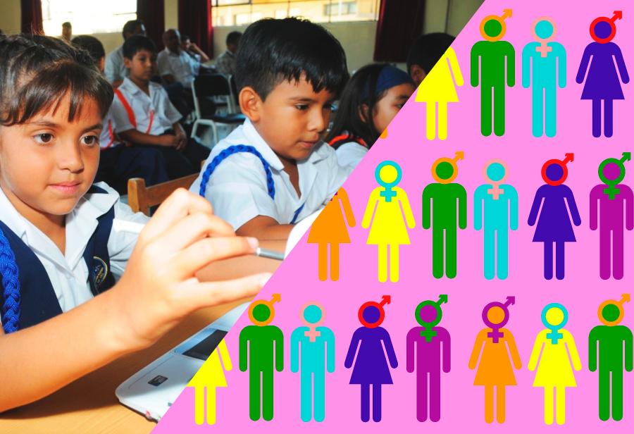 &iquest;Calidad de aprendizaje o ideolog&iacute;a de g&eacute;nero?