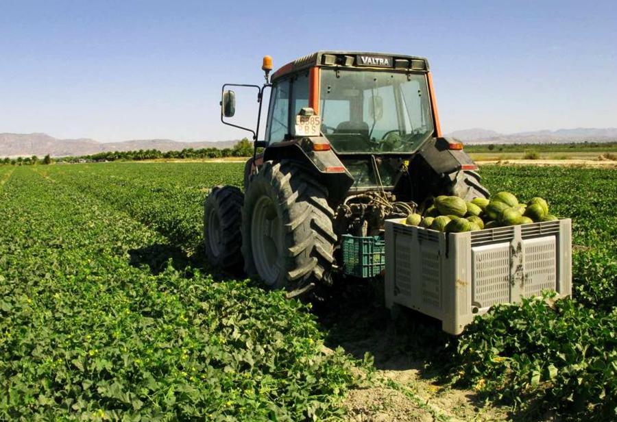 Ley de Promoción Agraria para más cultivos
