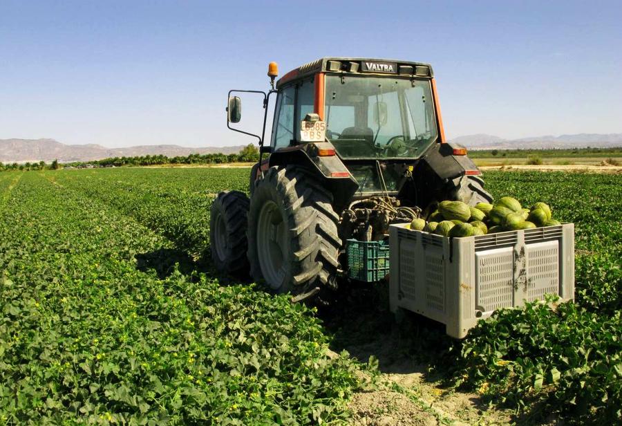 Gobernadores, ¡a promover inversiones en agricultura!