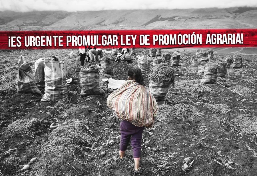 ¡Es urgente promulgar Ley de Promoción Agraria!