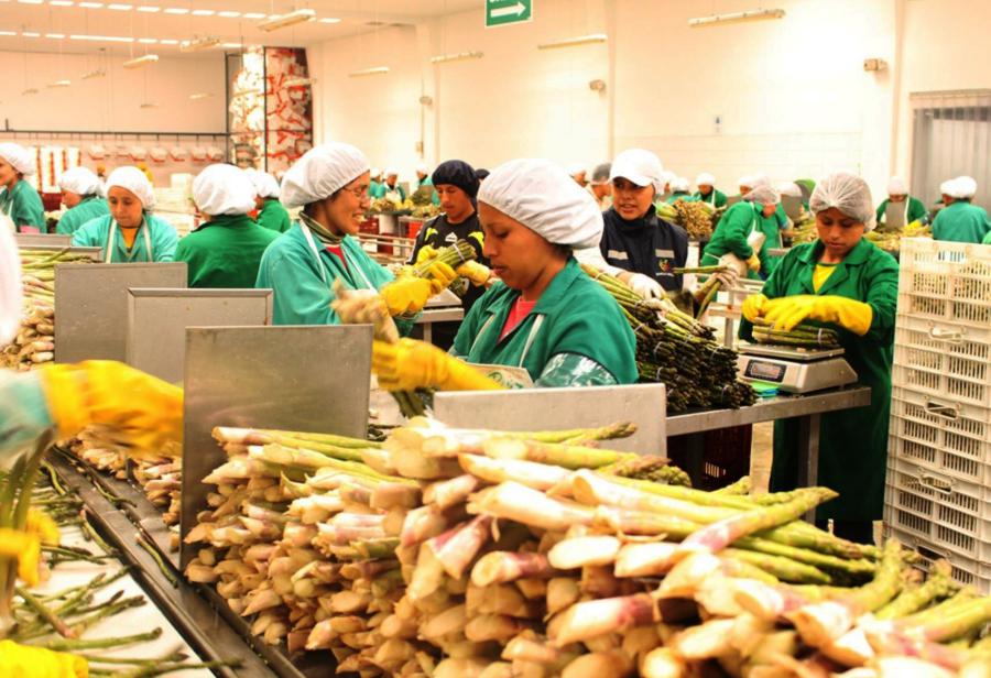 Empuje del sector agrícola no se detiene