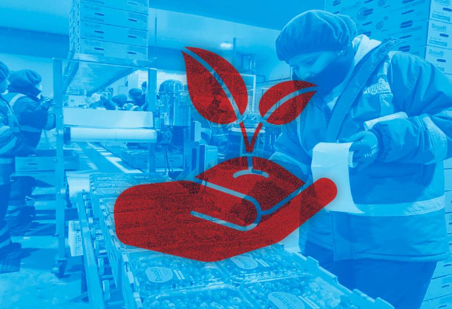 Las agroexportaciones, una columna central del desarrollo nacional