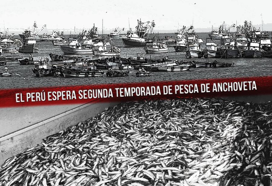 El Perú espera segunda temporada de pesca de anchoveta