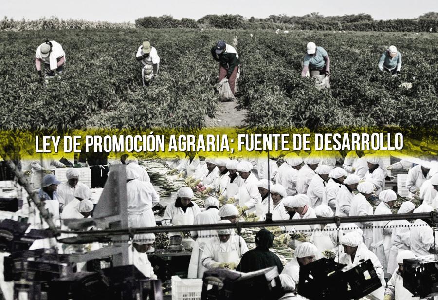 Ley de Promoción Agraria; fuente de desarrollo
