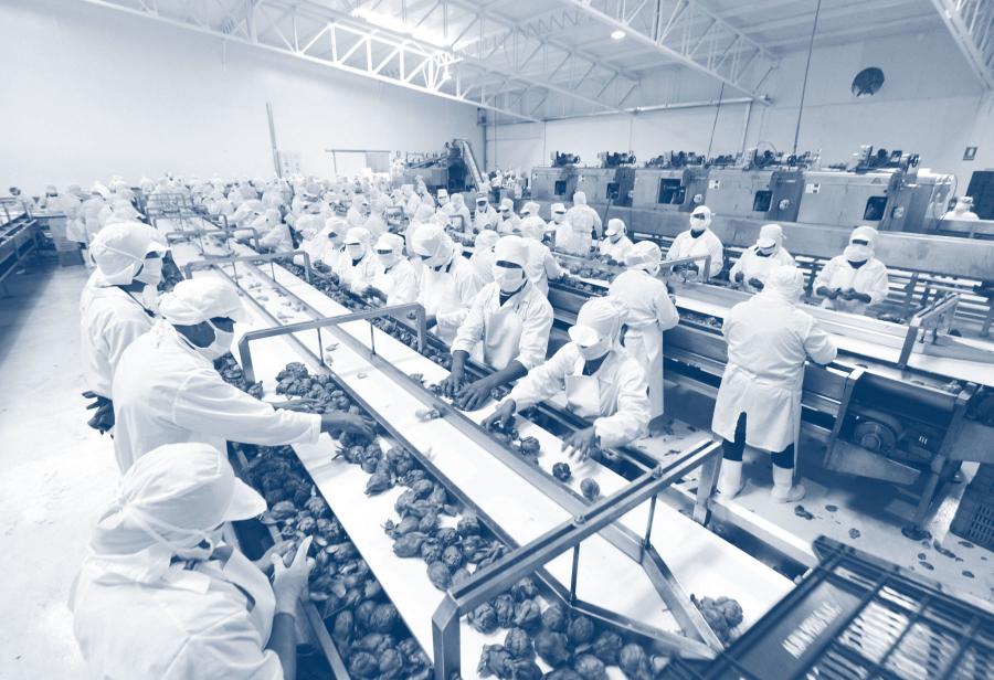 La batalla de ideas contra los enemigos de la agroexportación nacional