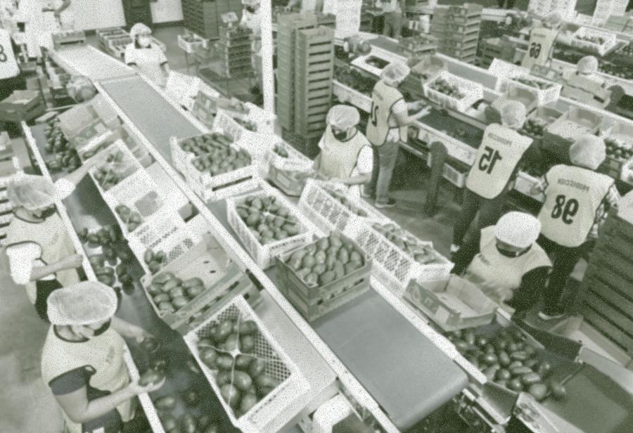 Persistir en el sueño exportador cueste lo que cueste