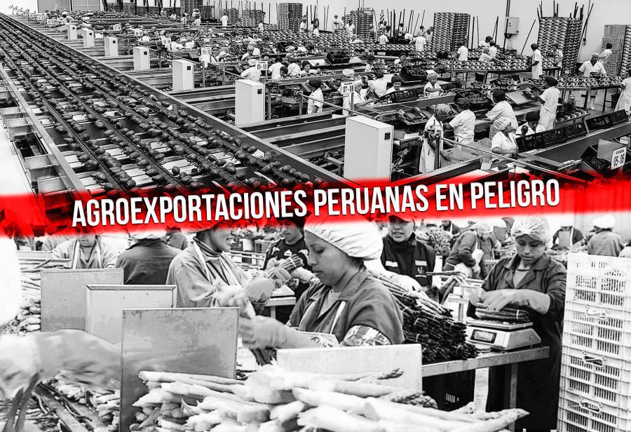Agroexportaciones peruanas en peligro