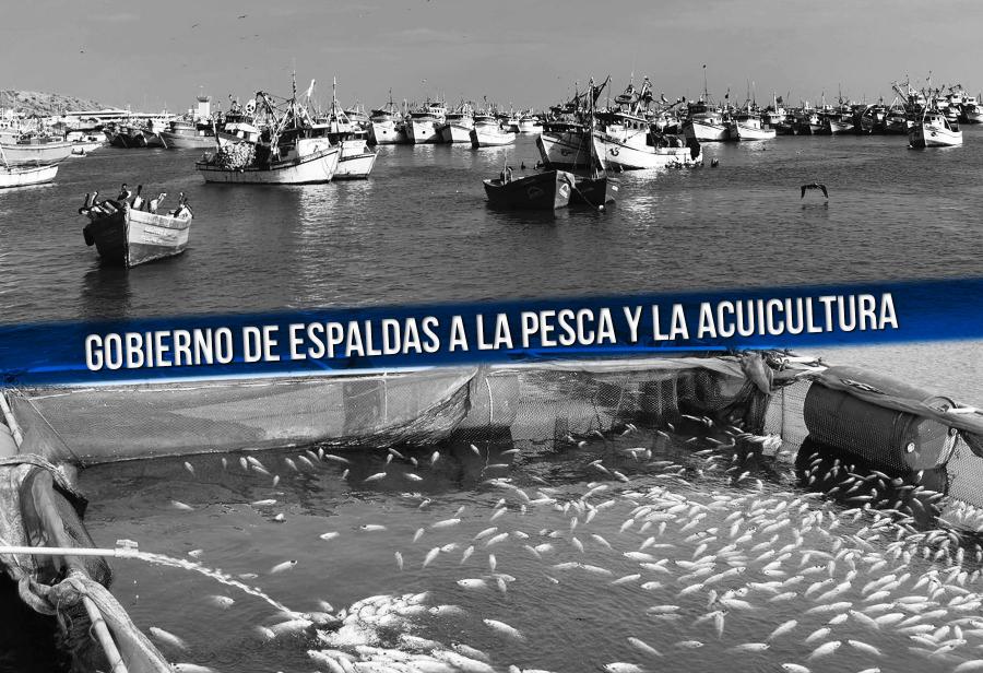 Gobierno de espaldas a la pesca y la acuicultura