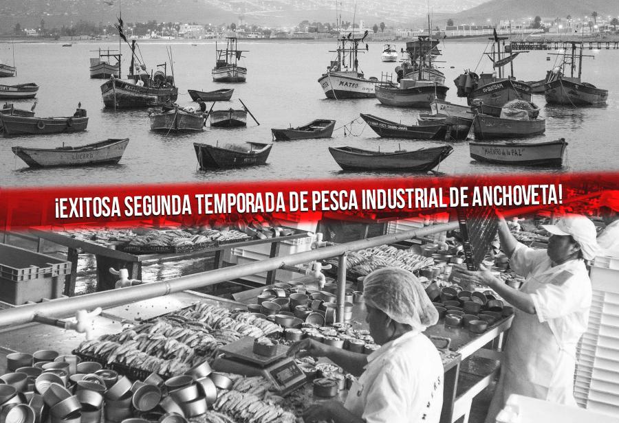 ¡Exitosa segunda temporada de pesca industrial de anchoveta!