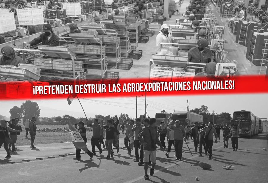 ¡Pretenden destruir las agroexportaciones nacionales!