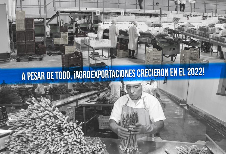 A pesar de todo, ¡agroexportaciones crecieron en el 2022!