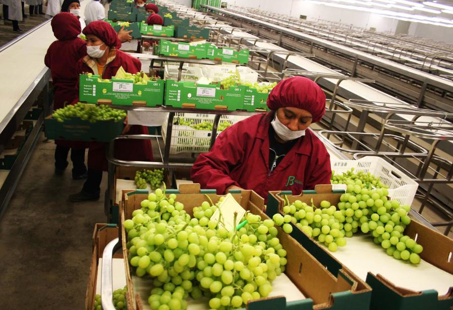 El libre comercio impulsa el crecimiento