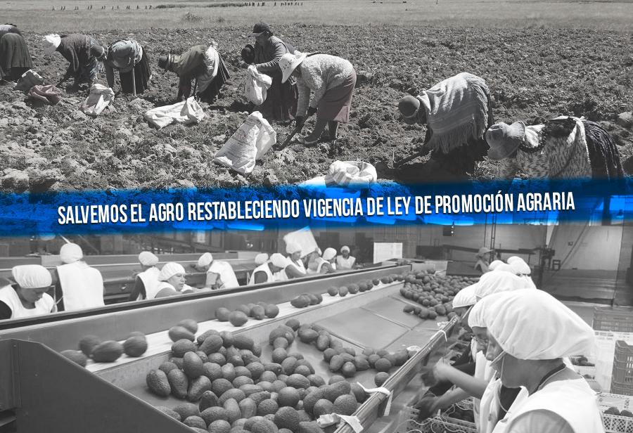 Salvemos el agro restableciendo vigencia de Ley de Promoción Agraria