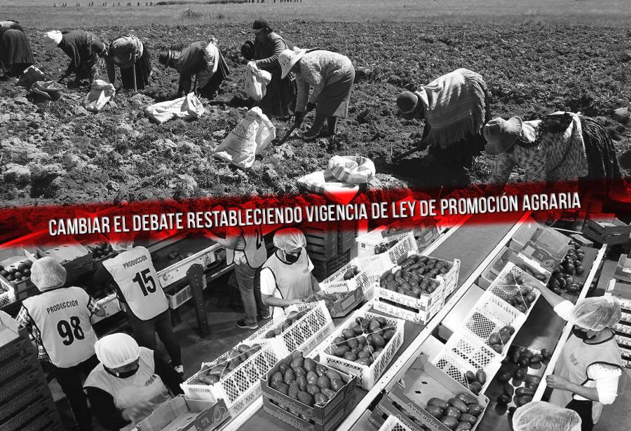 Cambiar el debate restableciendo vigencia de ley de Promoción Agraria