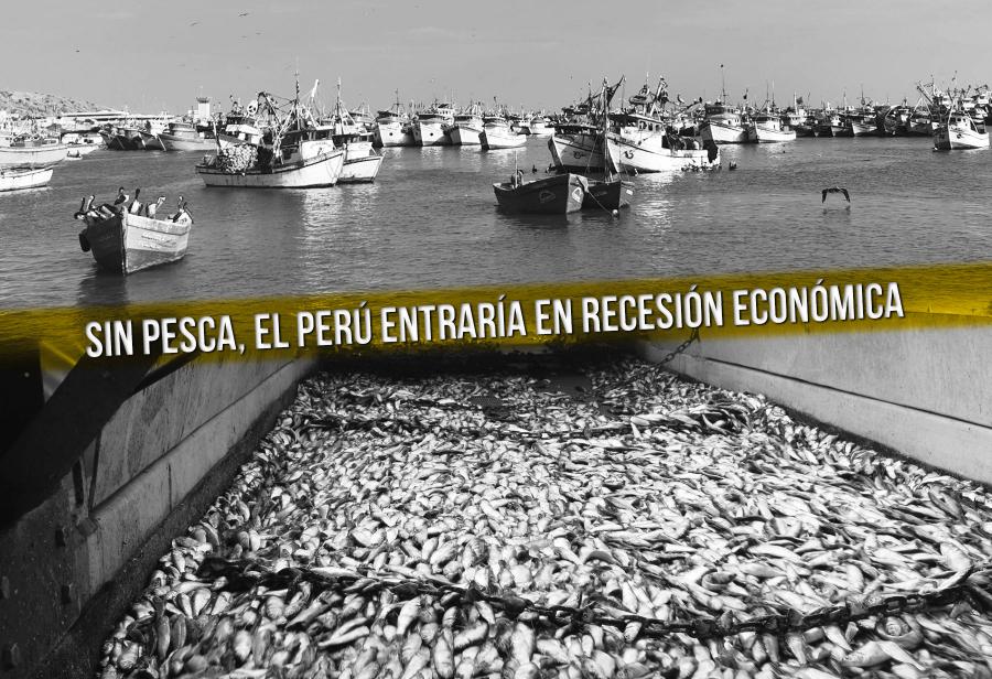 ¡Segunda temporada de pesca, ya!