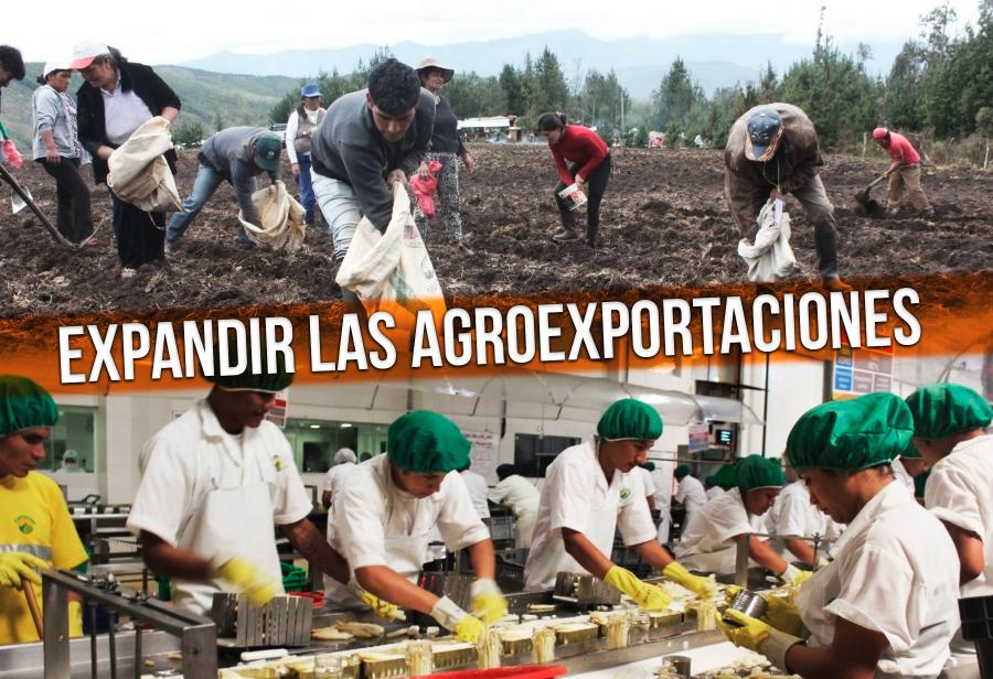 Reto 2020: expandir las agroexportaciones