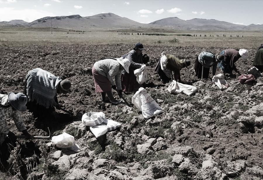 ¿Por qué el Perú necesita una nueva ley de promoción agraria?