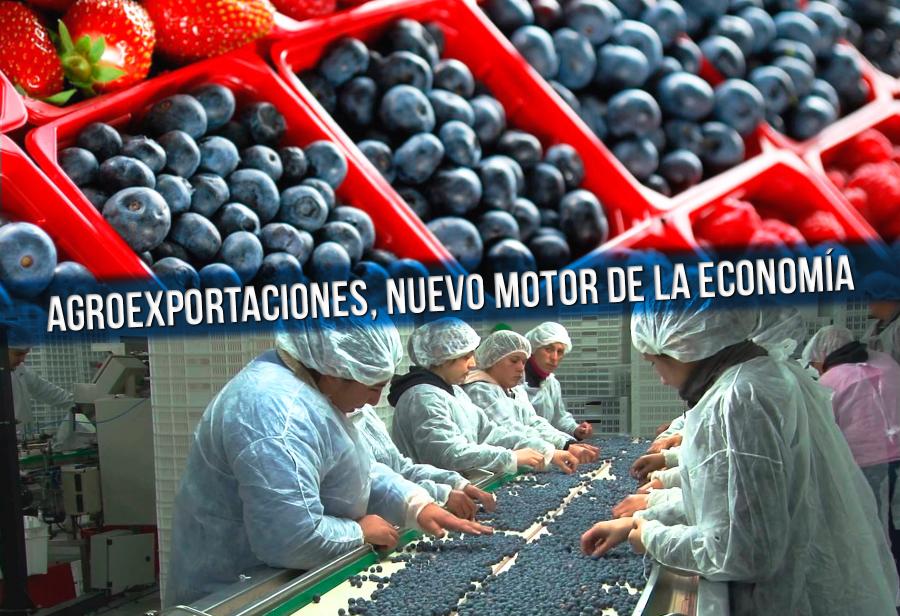 Exportaciones agrarias, nuevo motor de la economía