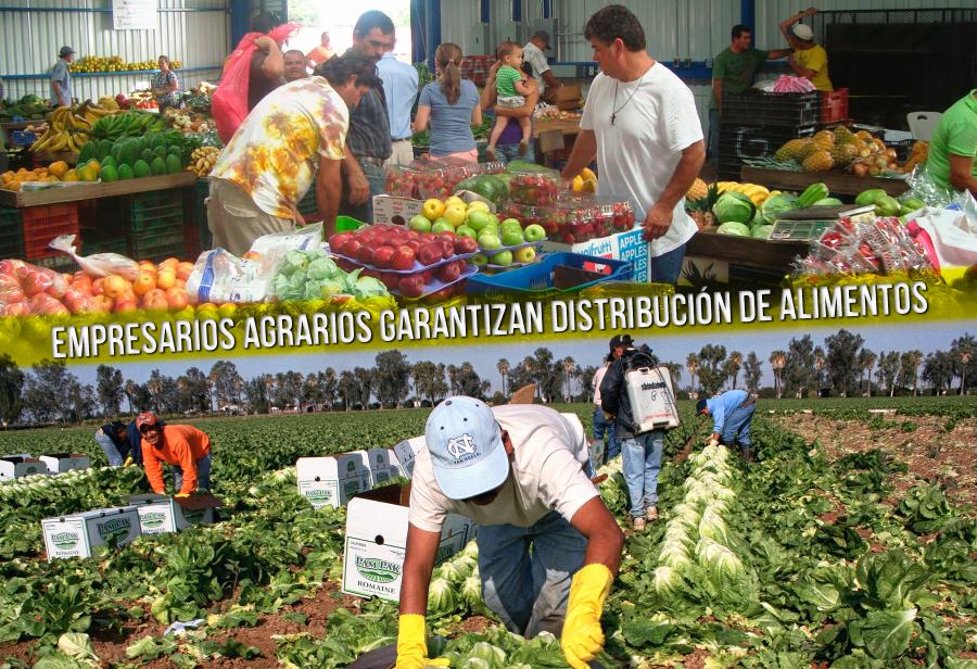 Empresarios agrarios garantizan distribución de alimentos