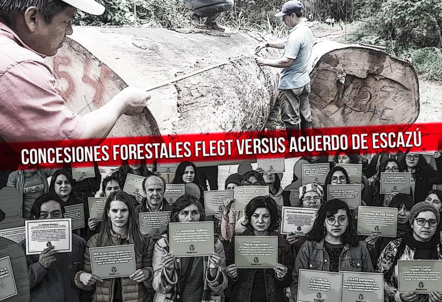 Concesiones forestales FLEGT versus Acuerdo de Escazú