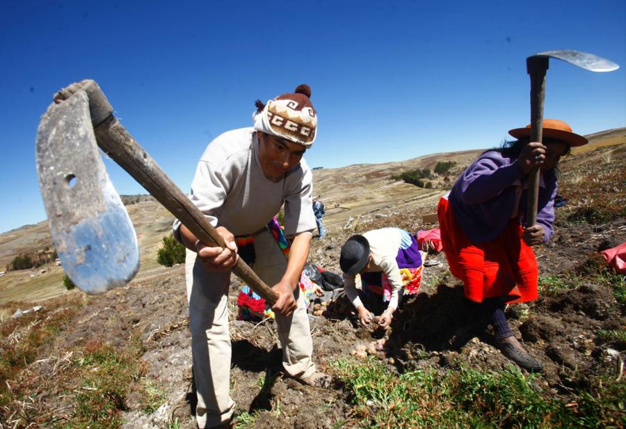 El Legislativo contra el sector agrario