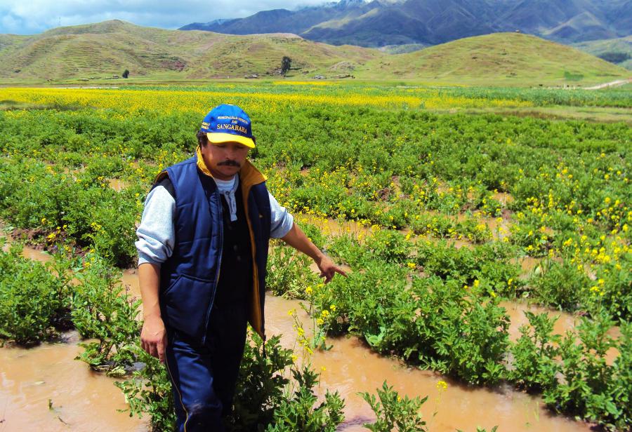 El boom agrario debe continuar