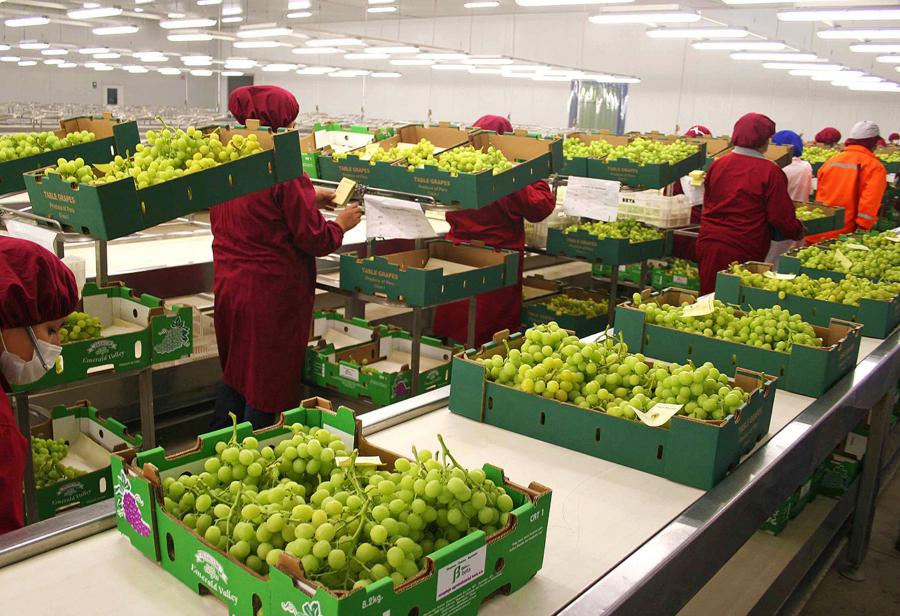 Exportaciones agroindustriales a todo vapor