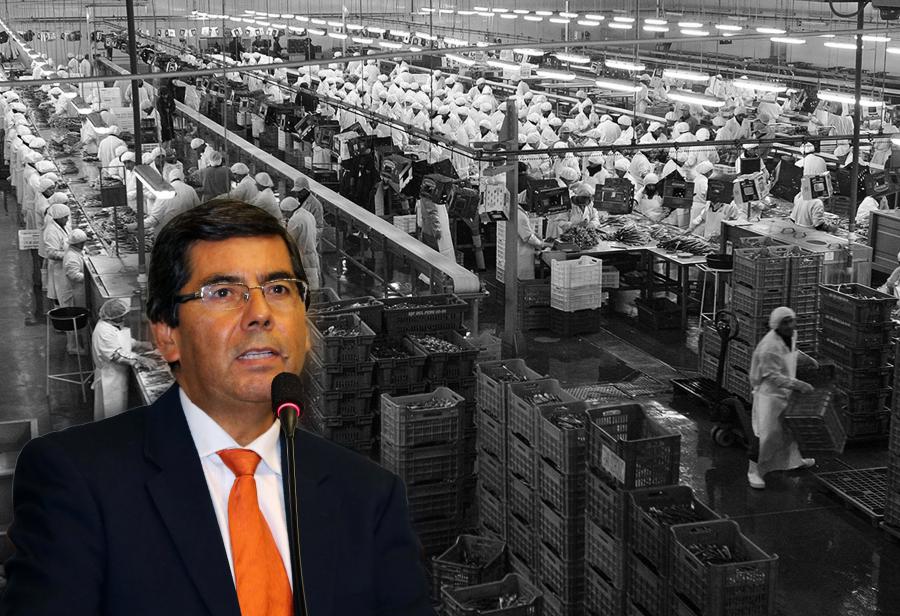 ¡Agroexportación bajo ataque chavista!