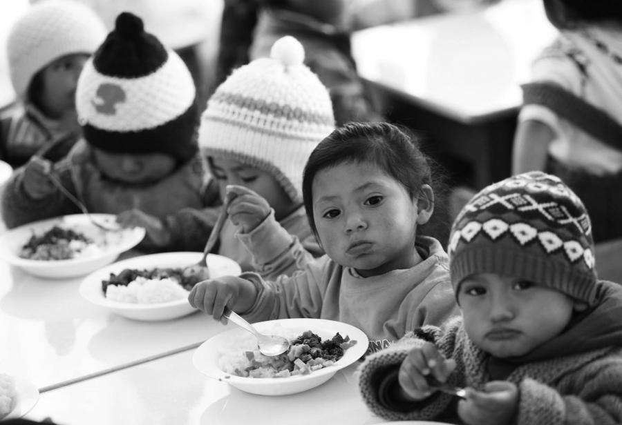 ¡Alianza público-privada para enfrentar anemia!