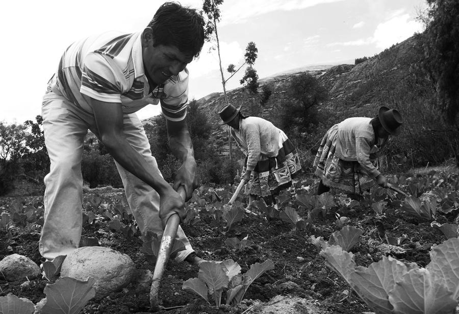 Peligra el crecimiento del campo