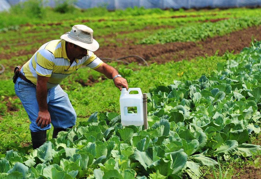 Inversiones agrícolas siguen creciendo