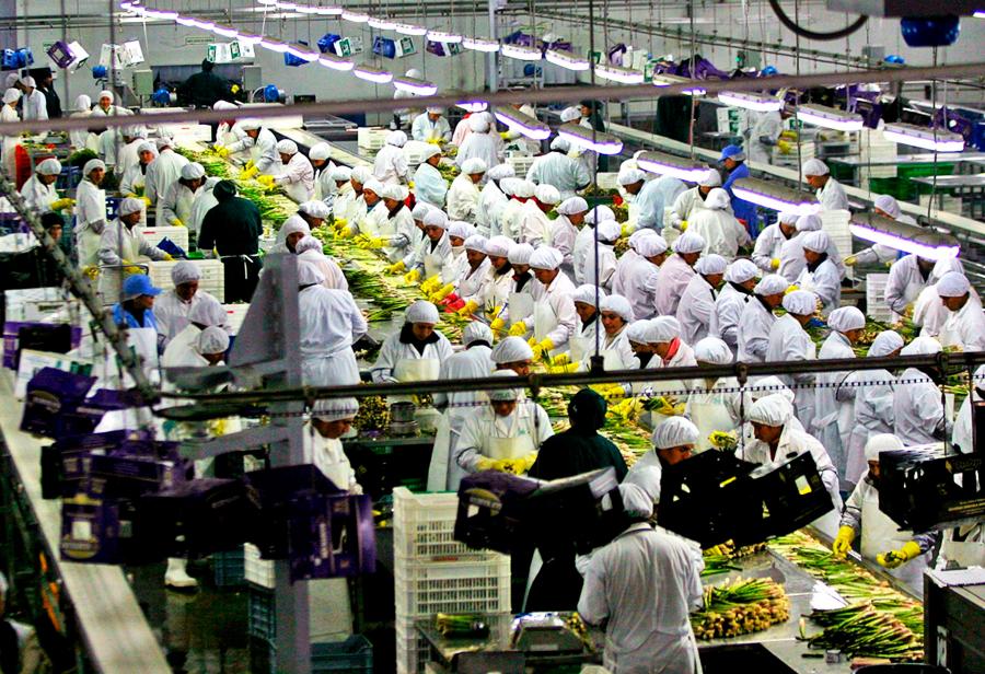 Exitosas agroexportaciones peruanas en 2018