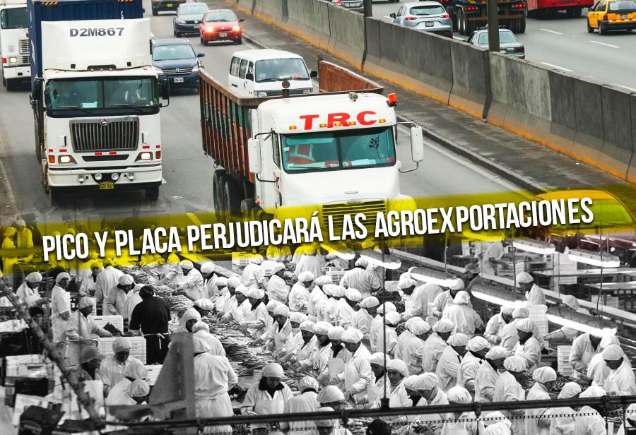 Pico y Placa perjudicará las agroexportaciones