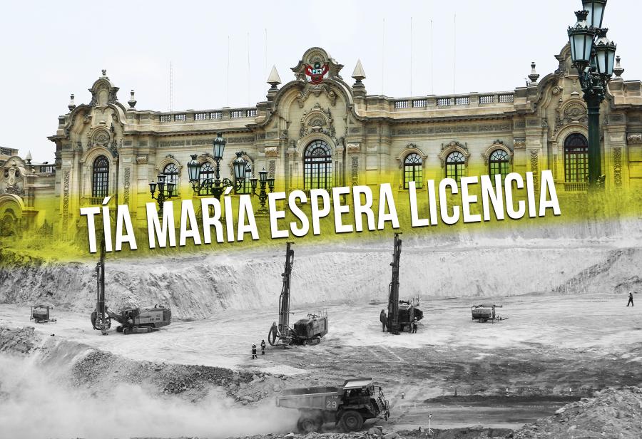 Tía María espera licencia
