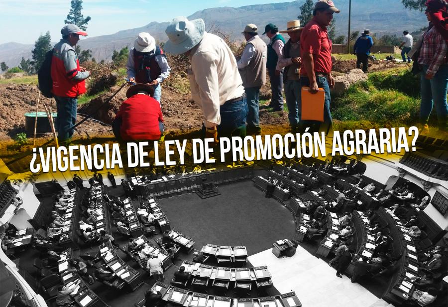 ¿Cuándo se amplía vigencia de Ley de Promoción Agraria?